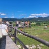 Ogled kmetije Slavec v Knežaku, kjer izdelujejo sladoled iz kozjega mleka.